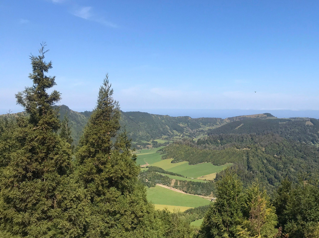 Pineapple Tours-蓬塔德尔加达必去景点