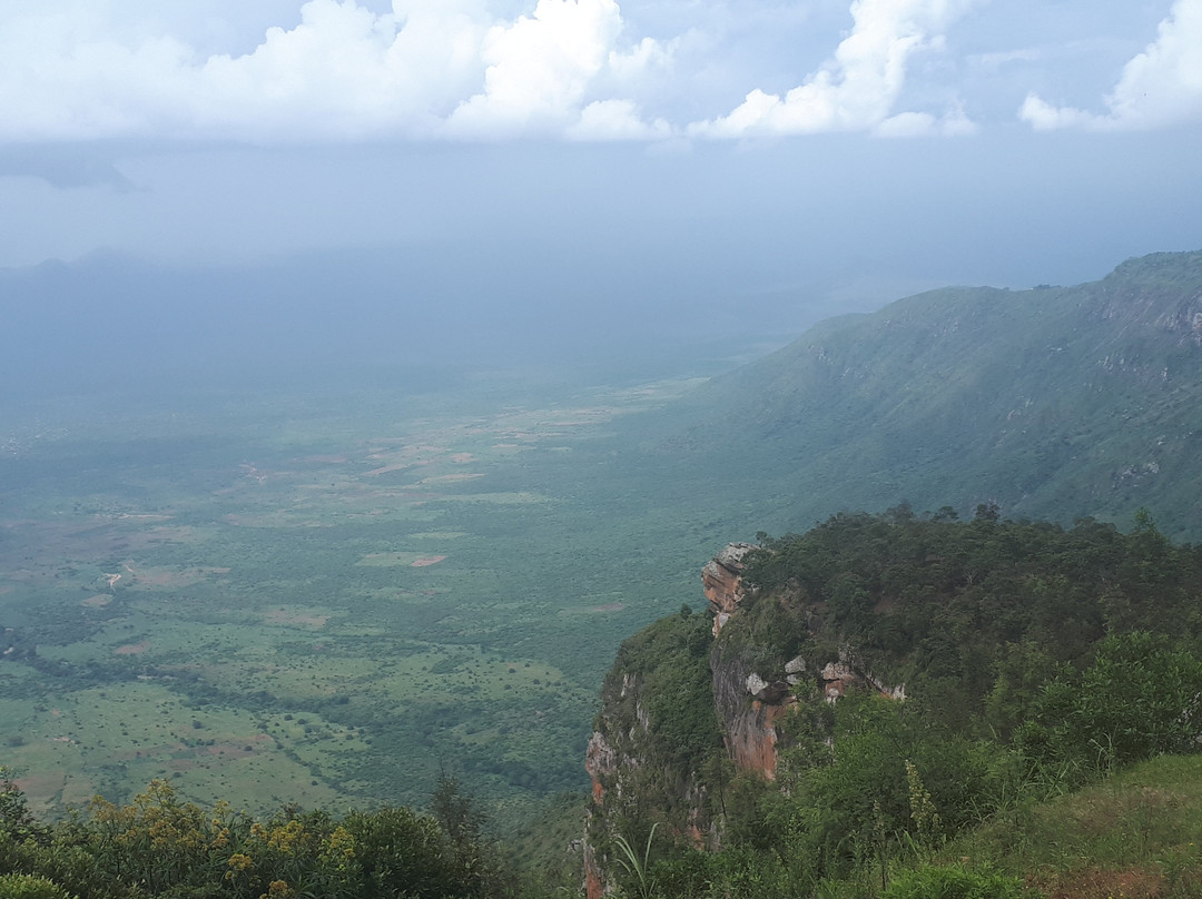 MamboViewPoint主图