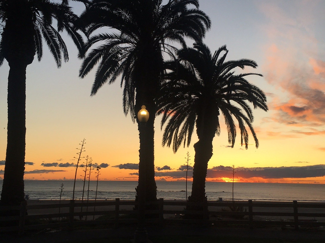 VAS Transportation LLC-园林必去景点