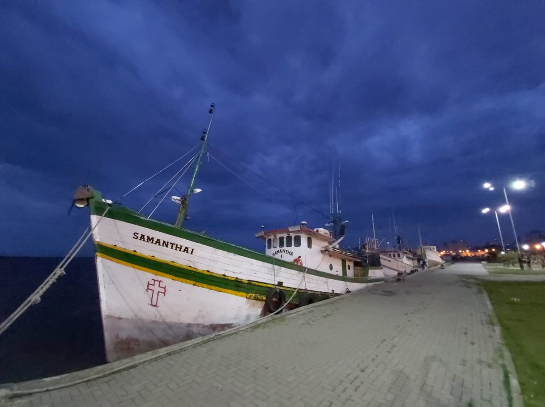 Swan Rio Grande主图