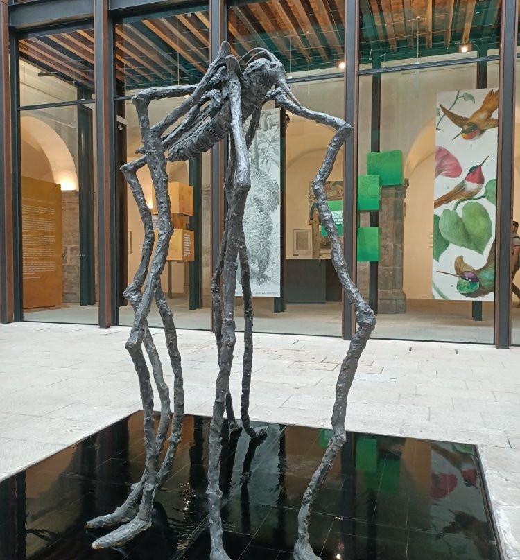 Centro Cultural San Pablo-瓦哈卡必去景点