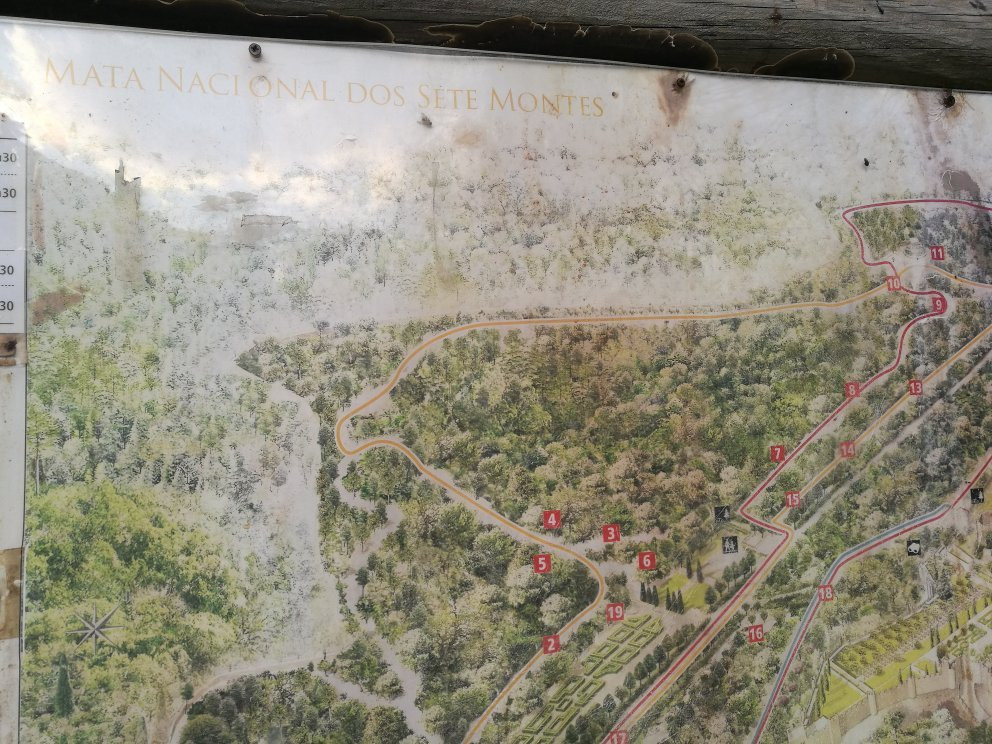 Mata Nacional dos Sete Montes景点图片