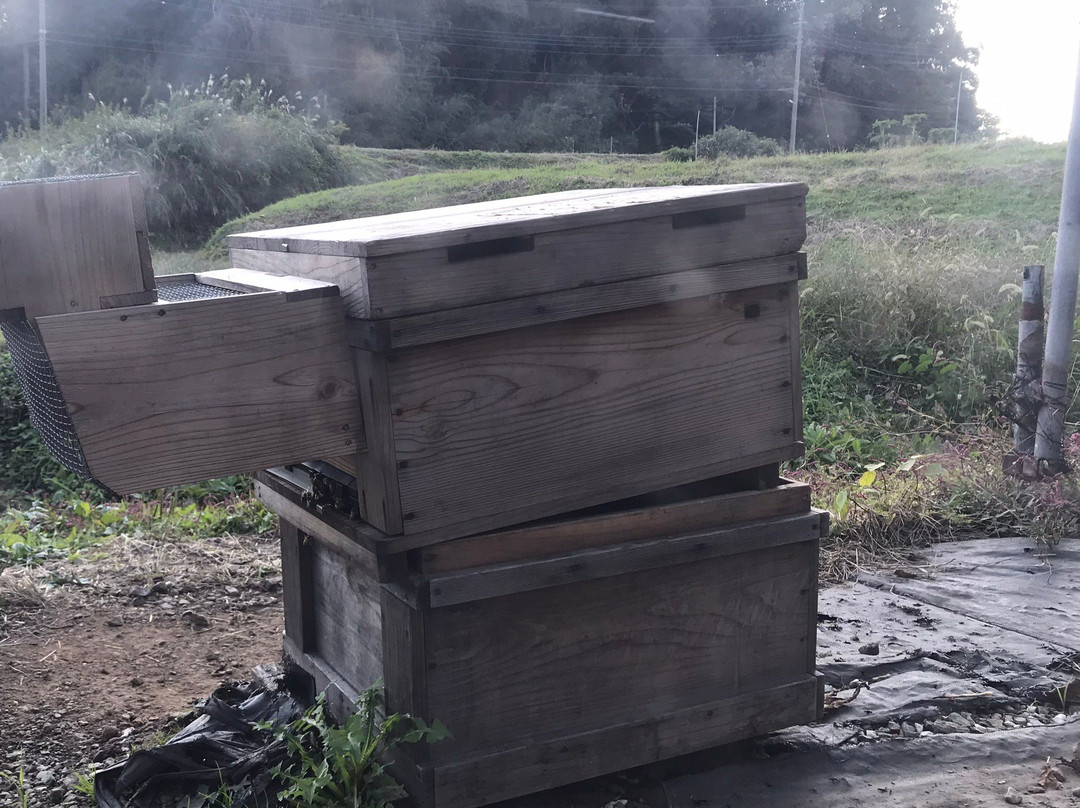 Hachimitsu Kobo-君津市必去景点