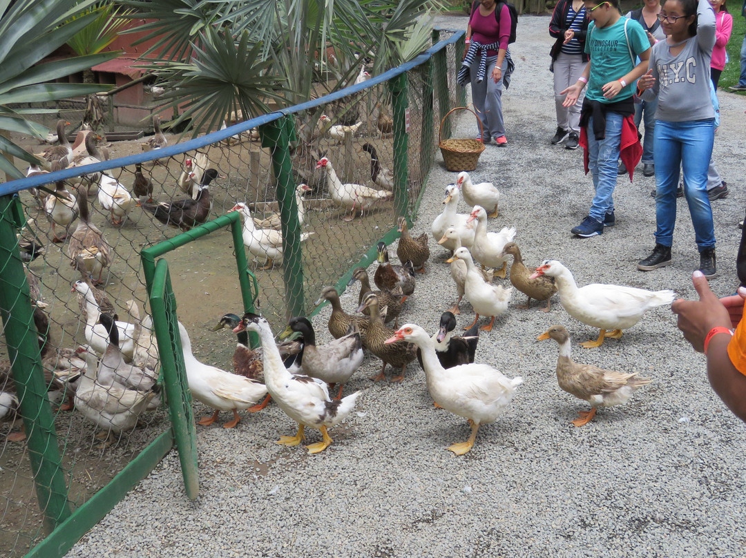 Cia dos Bichos-Cotia必去景点