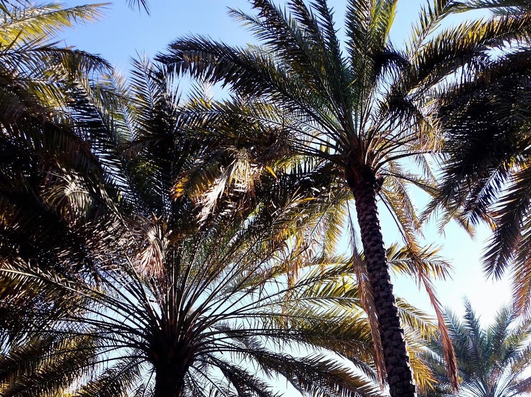 Mark Tours - Oman Tours-Ruwi必去景点