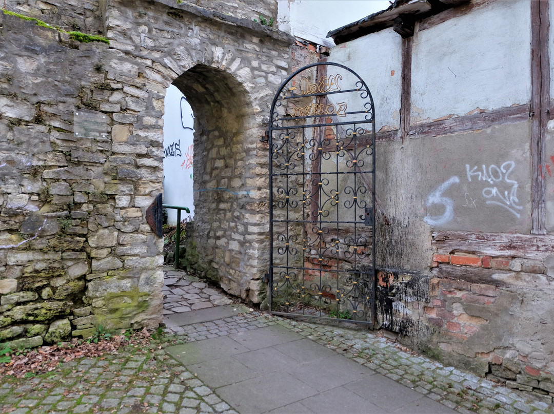 Schoeninger Wallgarten景点图片