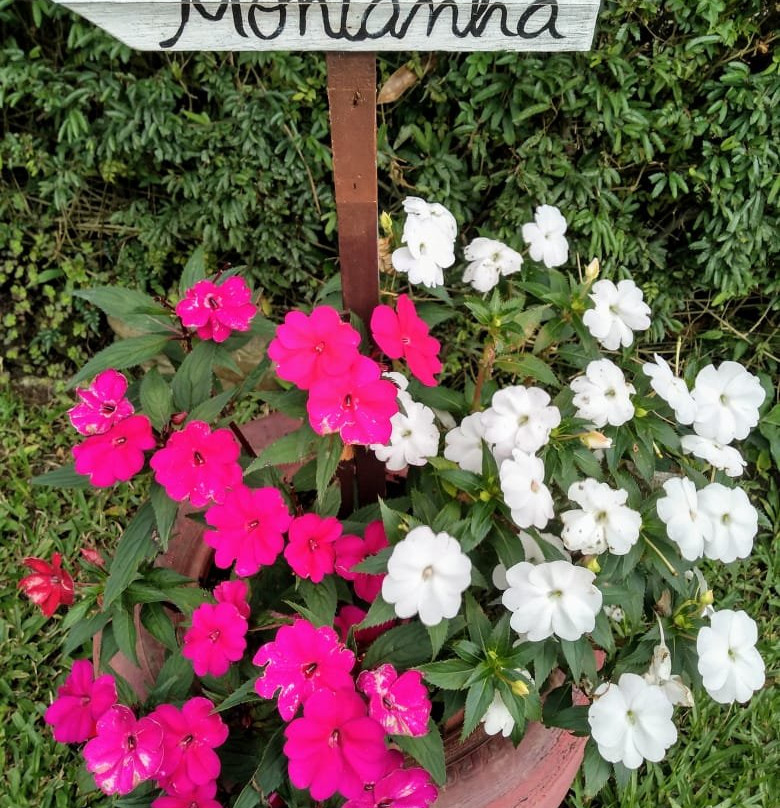 Pousada Casa da Colina主图