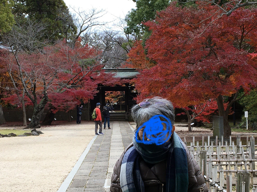 Tozen-ji Temple-松户市必去景点