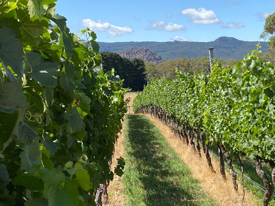 Hanging Rock Winery-Newham必去景点