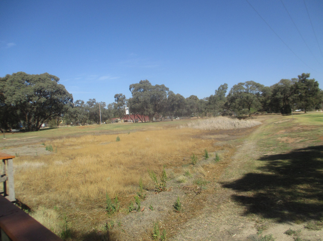 Buronga Wetlands-Buronga必去景点