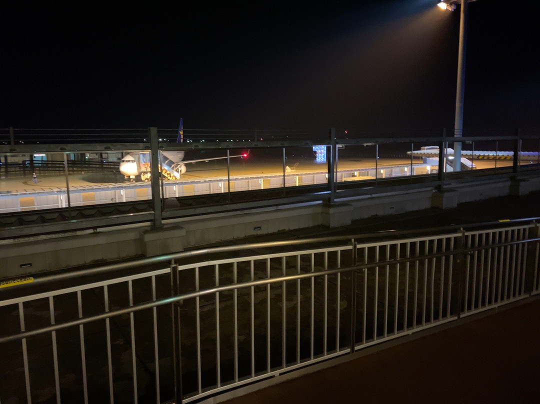 Ibaraki Airport Observation Deck景点图片