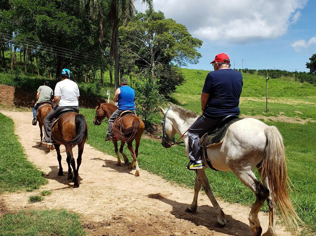 Hotel Fazenda Sao Matheus主图