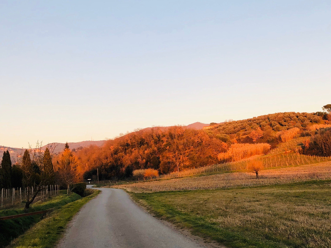 Agriturismo Terre di Leonardo主图