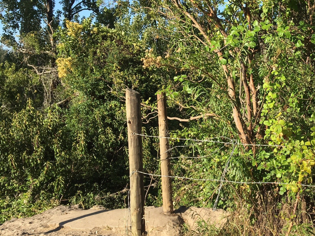 Salto del Itata-Biobio Region必去景点
