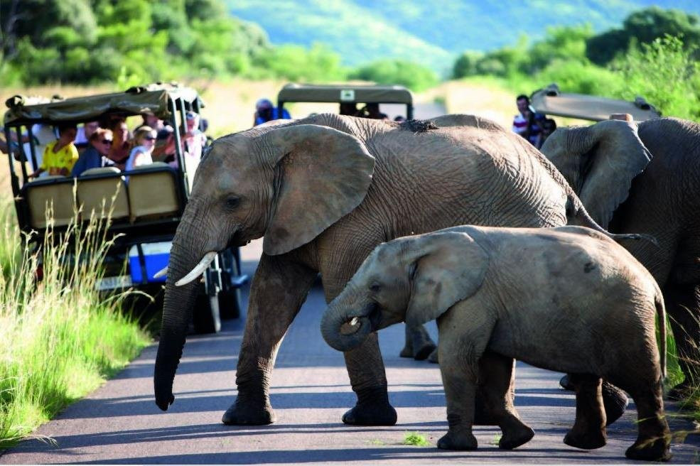 African Sun Safaris-德班必去景点