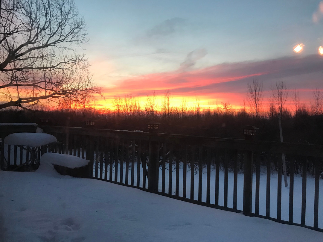 The Glen Huron Inn主图