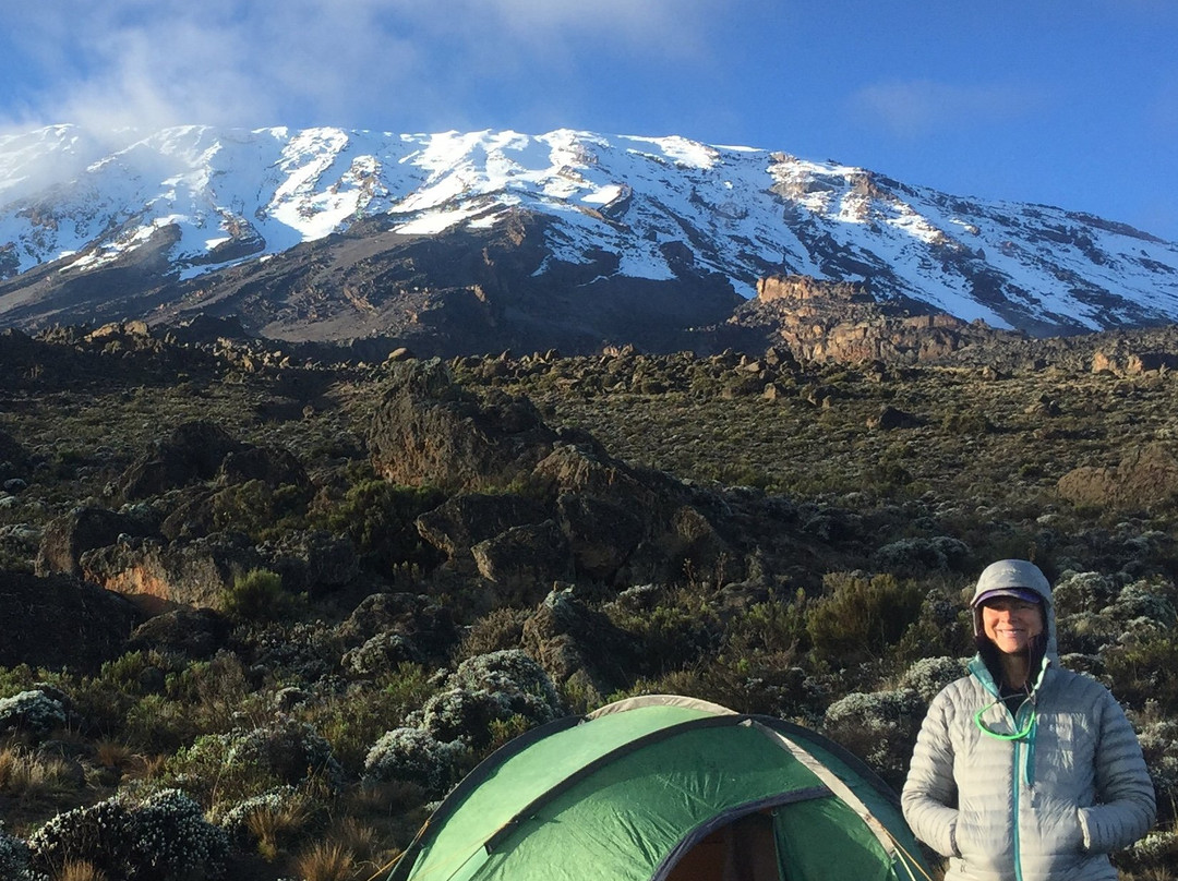Kilimanjaro Experts景点图片
