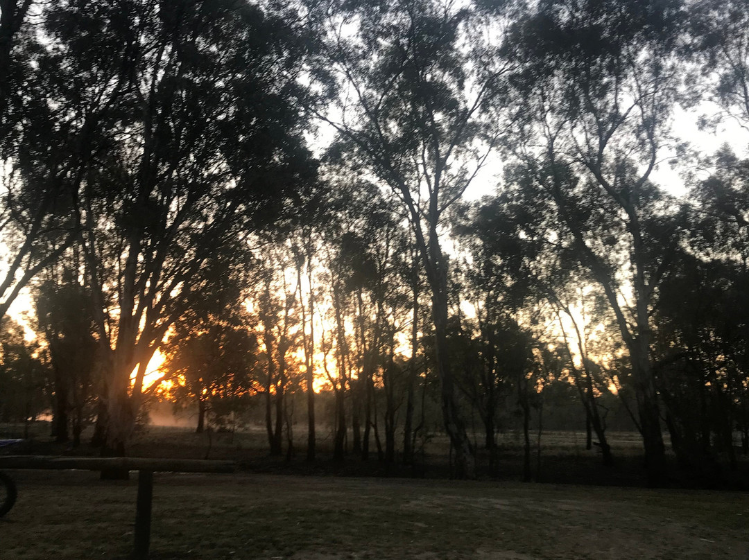 Aqua Pulse-Hoppers Crossing必去景点