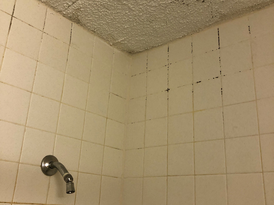 Wingate By Wyndham Murfreesboro- Near Mtsu主图