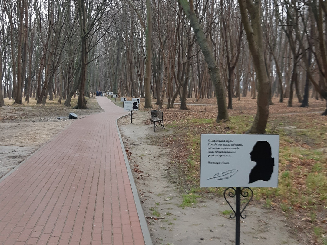 Literaturnaya Yantarnaya Alley景点图片