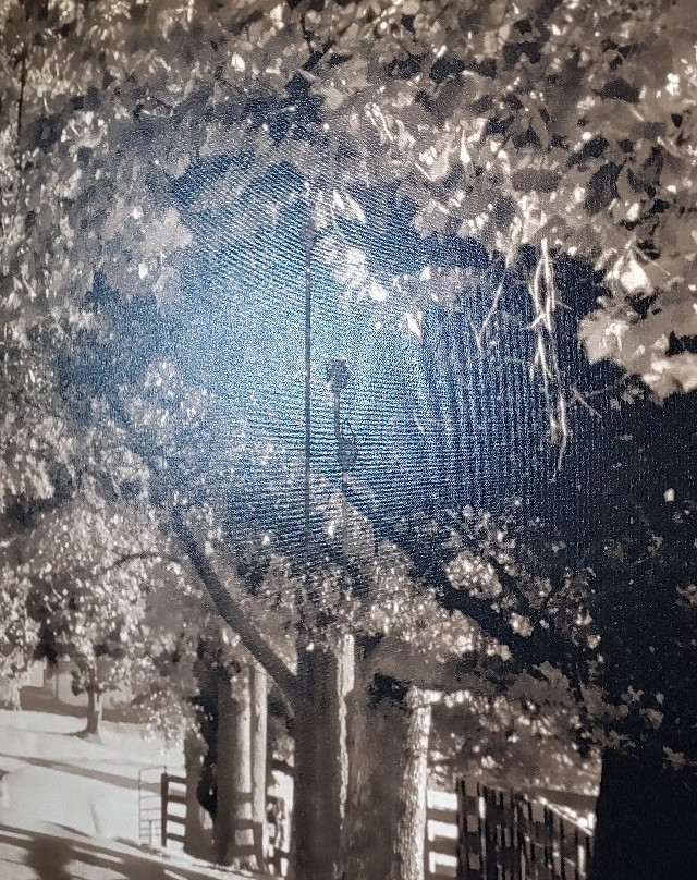 Super 8 by Wyndham Eddyville/Kuttawa主图