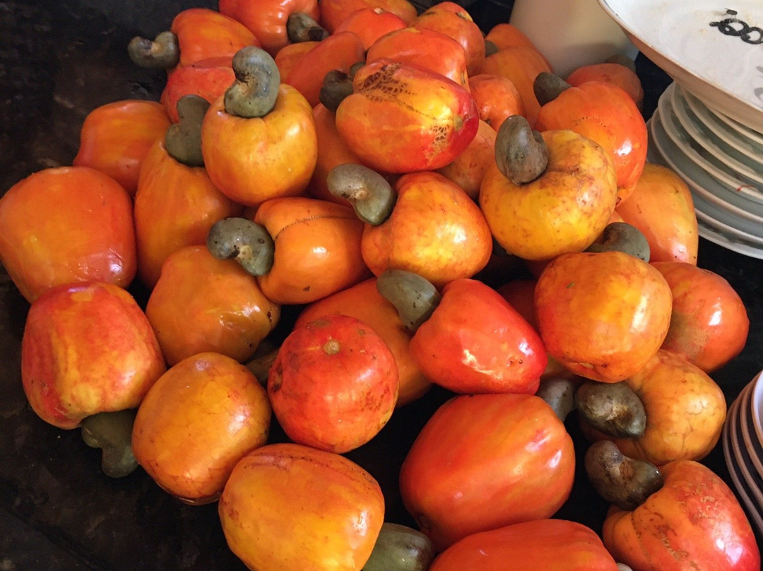 Casa da Berê - Pousada Charme主图