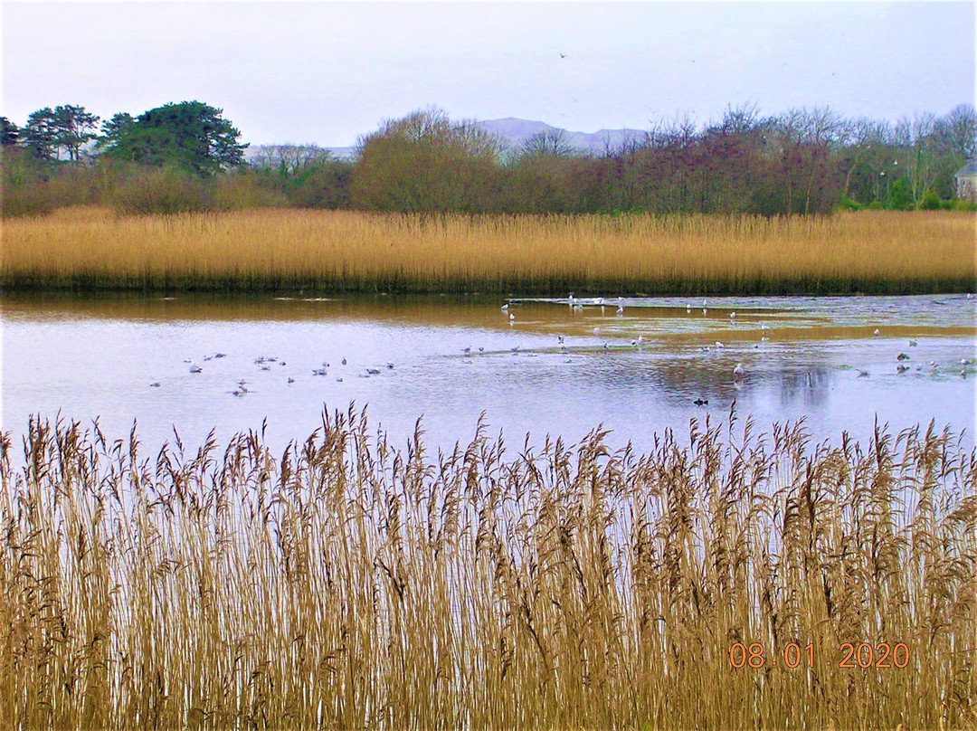 Lon Cob Bach Nature Reserve景点图片