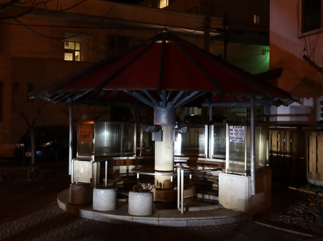 Ashiyu Pocket Park, Yakushi no Yu-洞爷湖町必去景点