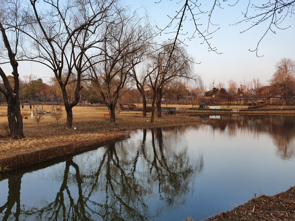 龙山家庭公园景点图片