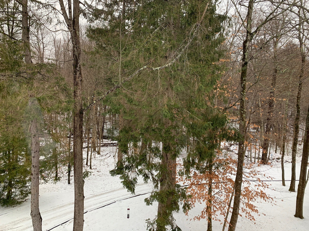 Canyon Ranch Lenox主图