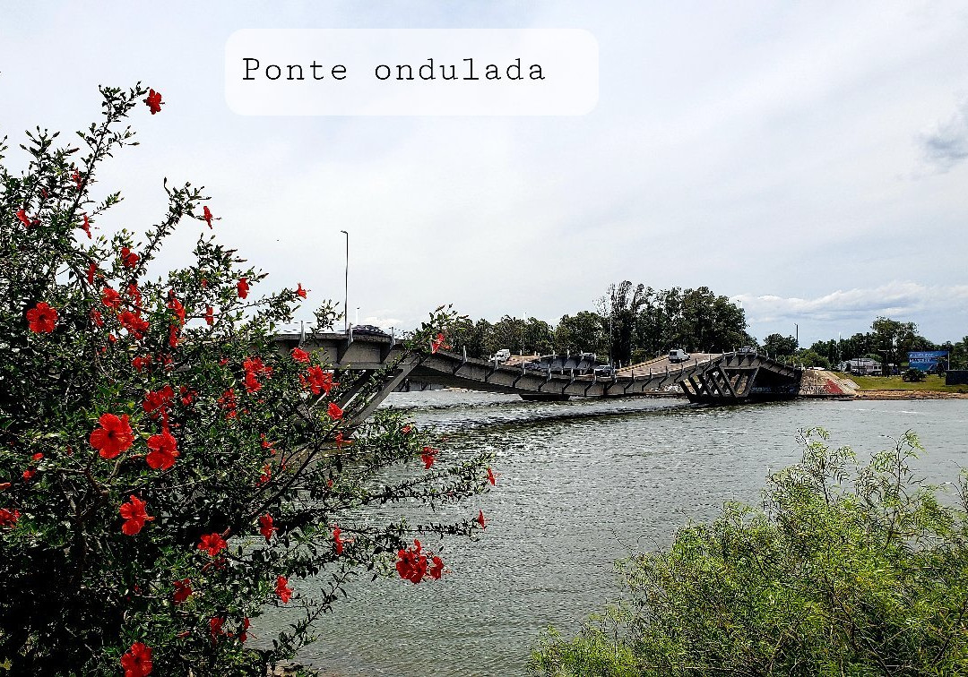 Puente Leonel Viera景点图片