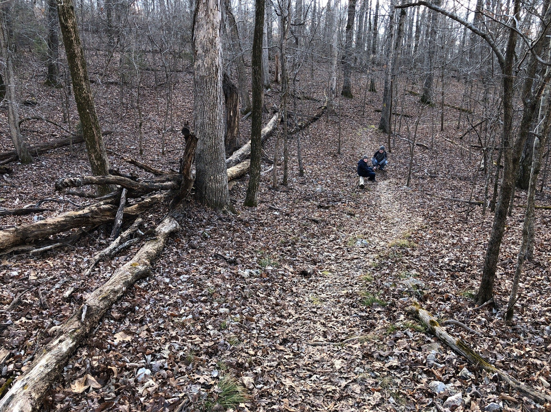 Bull Shoals-White River State Park景点图片
