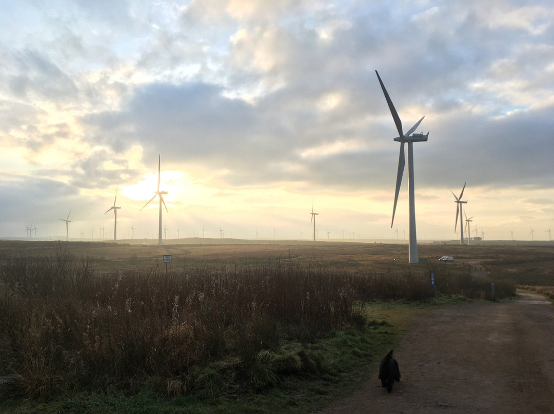 Whitelee Visitor Centre-Eaglesham必去景点