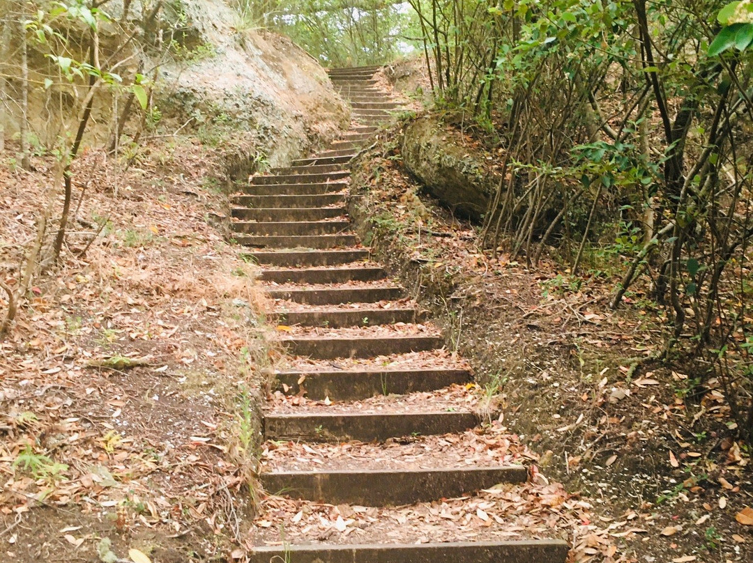 Whitianga Rock Walk景点图片