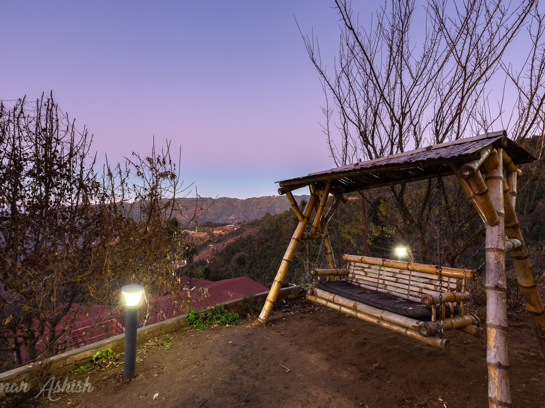 Treehouse Resort主图