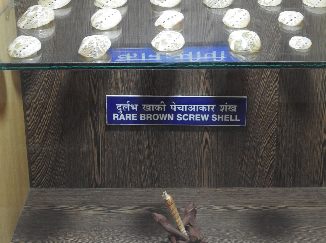 Samudrika Marine Museum-布莱尔港必去景点