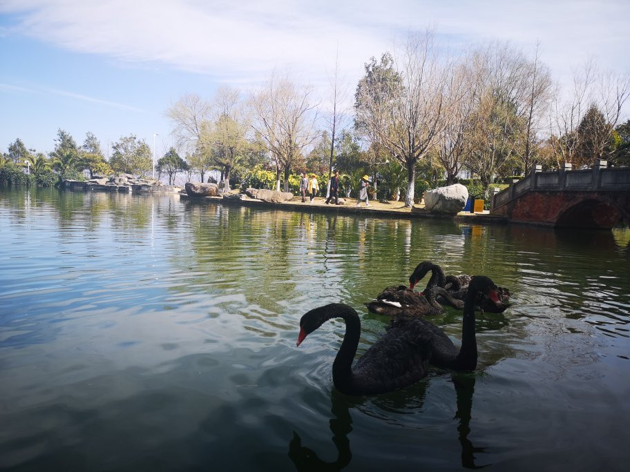 大理大学景点图片