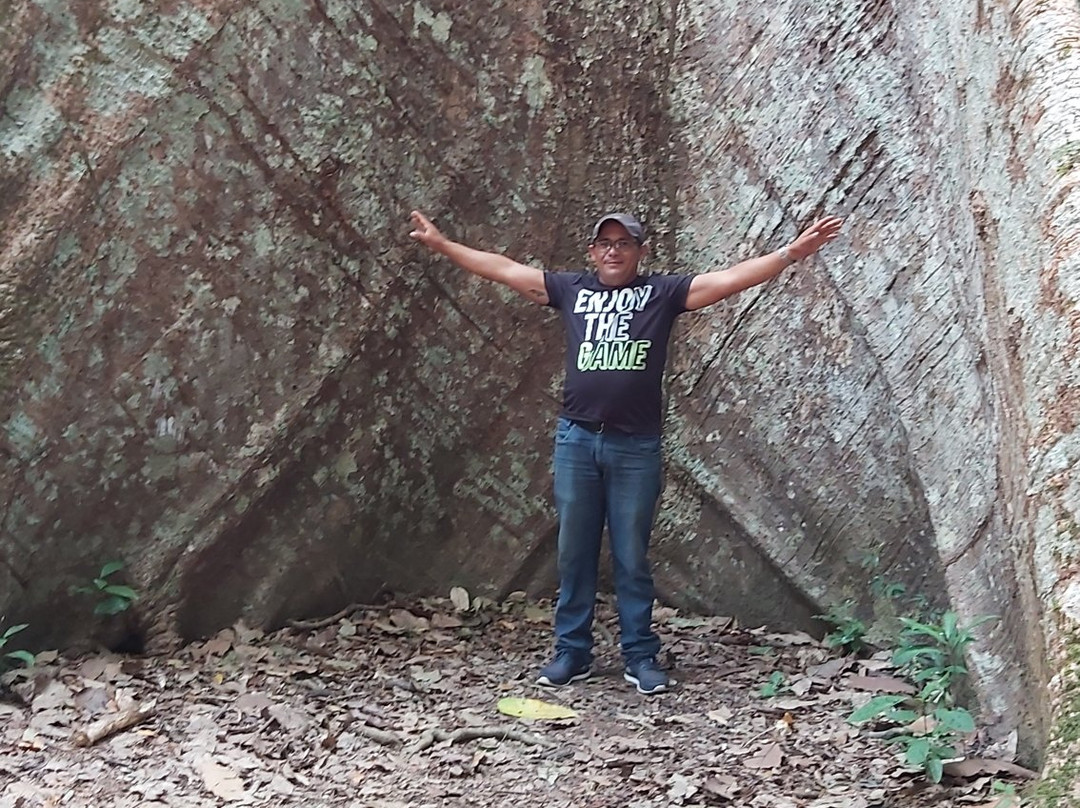 Floresta Nacional de Tapajos-Santarem必去景点