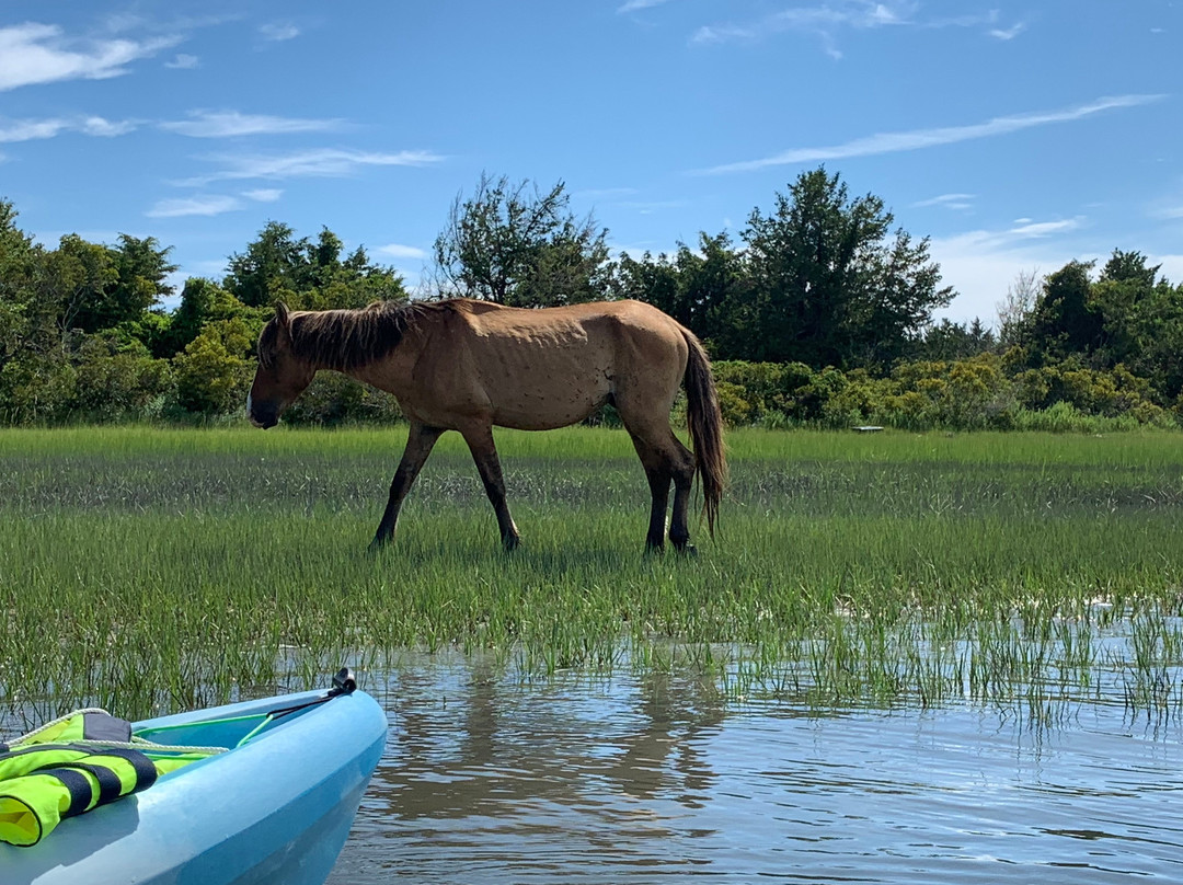 Beaufort Paddle景点图片