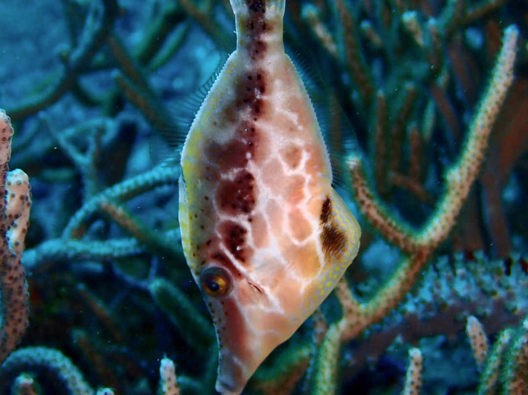 Reto Muller-位于塔甘加必去景点