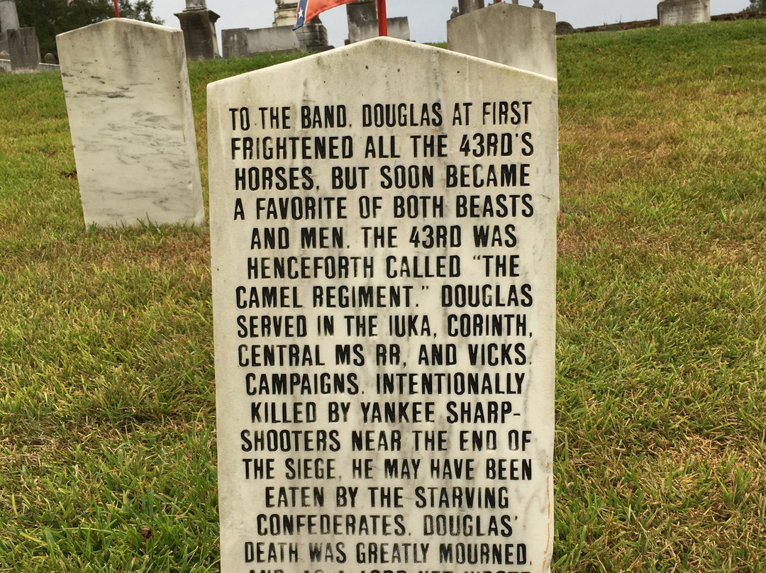 Cedar Hill Cemetery景点图片