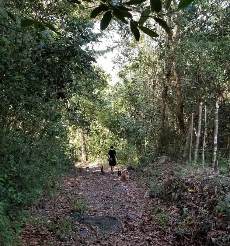 Lunaberg-Gaspar Hernandez必去景点