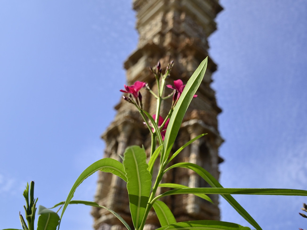 Tower of Fame (Kirti Stambh)景点图片