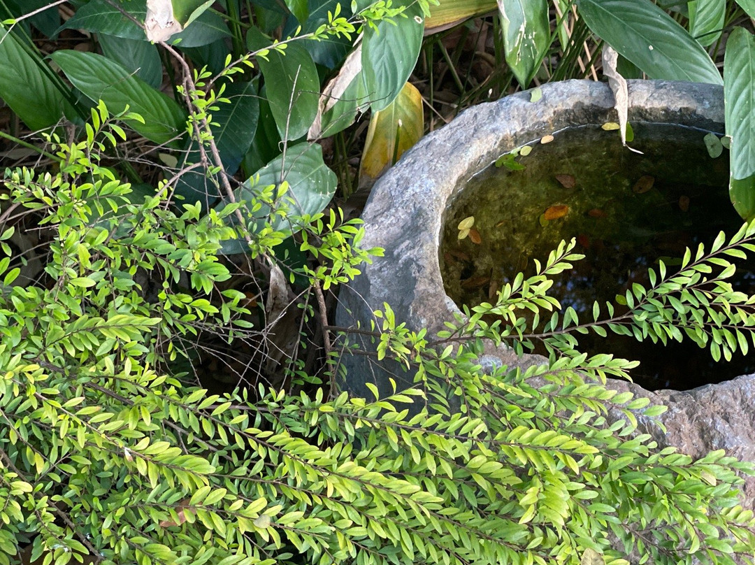 Pha Tad Ke Botanical Garden景点图片