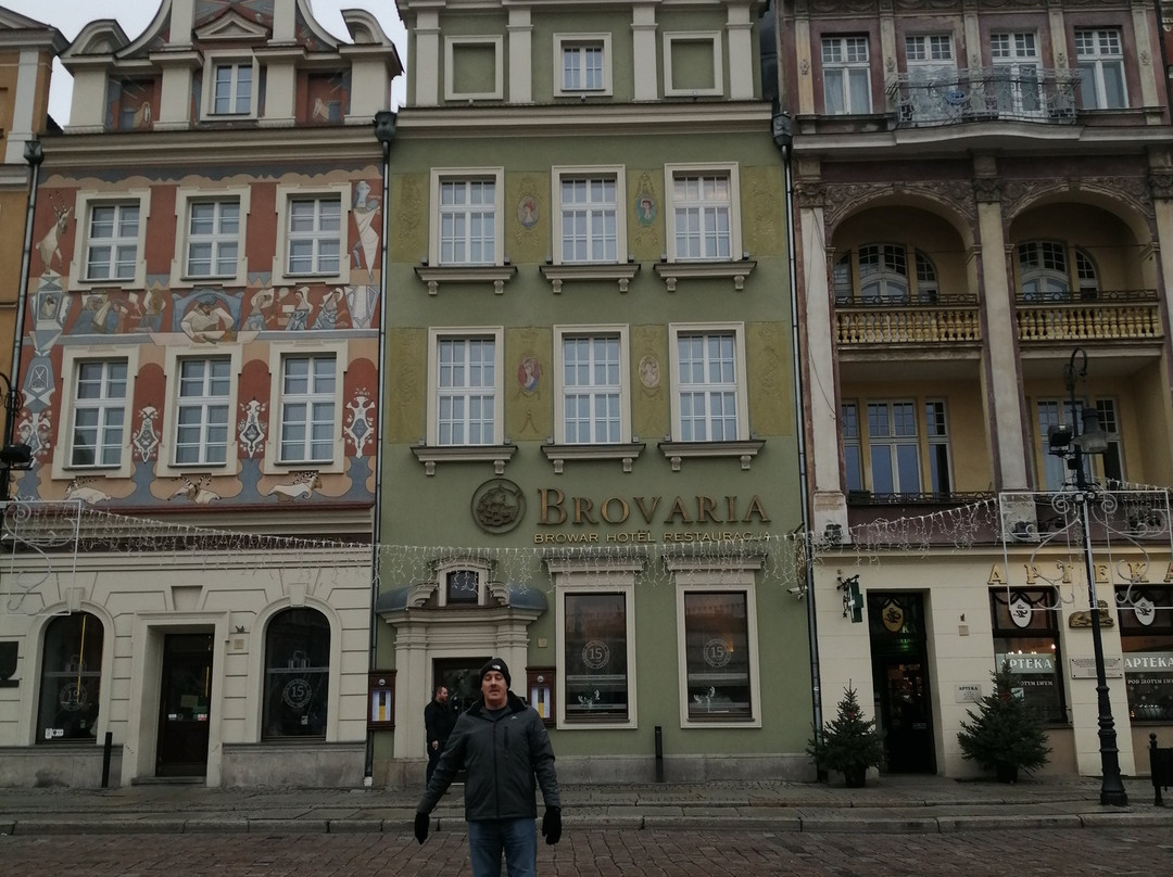 布罗瓦利亚酒店主图