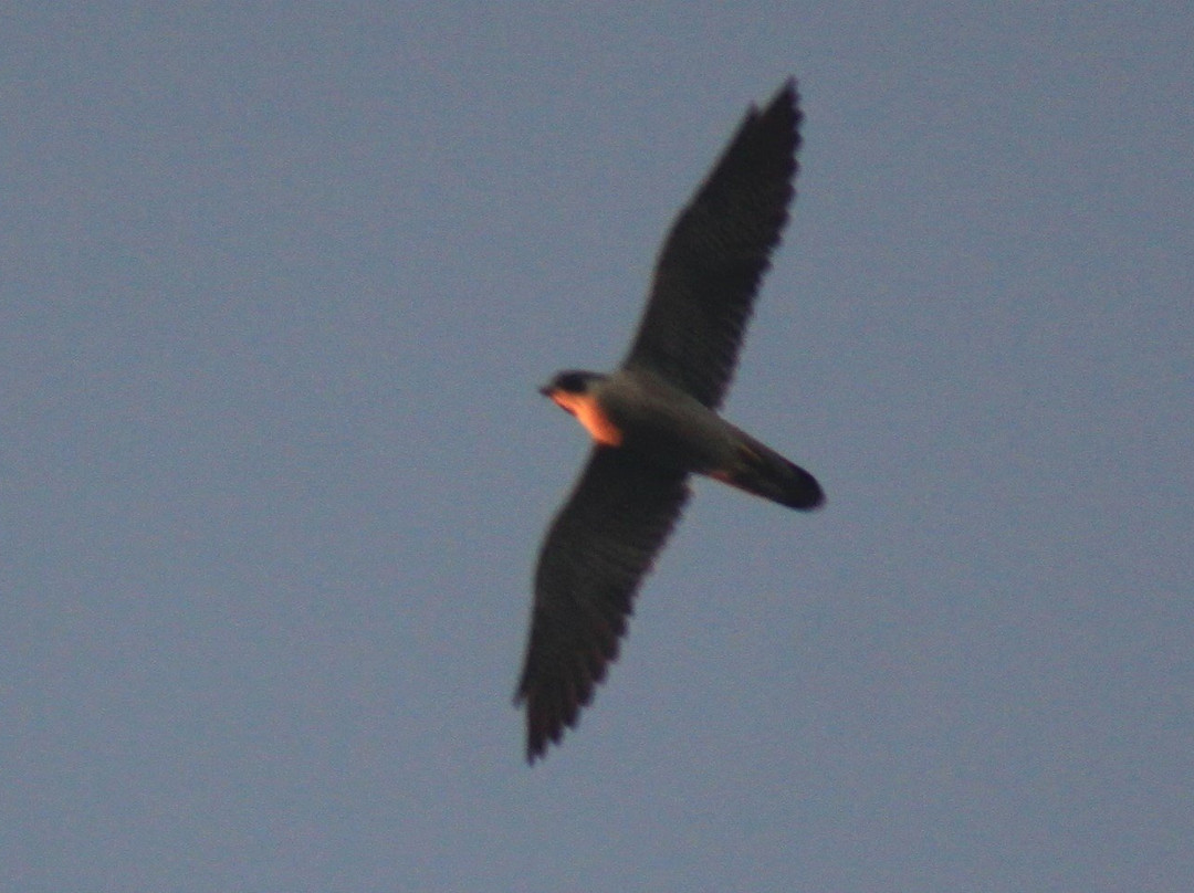 Fort Totten Park-Bayside必去景点
