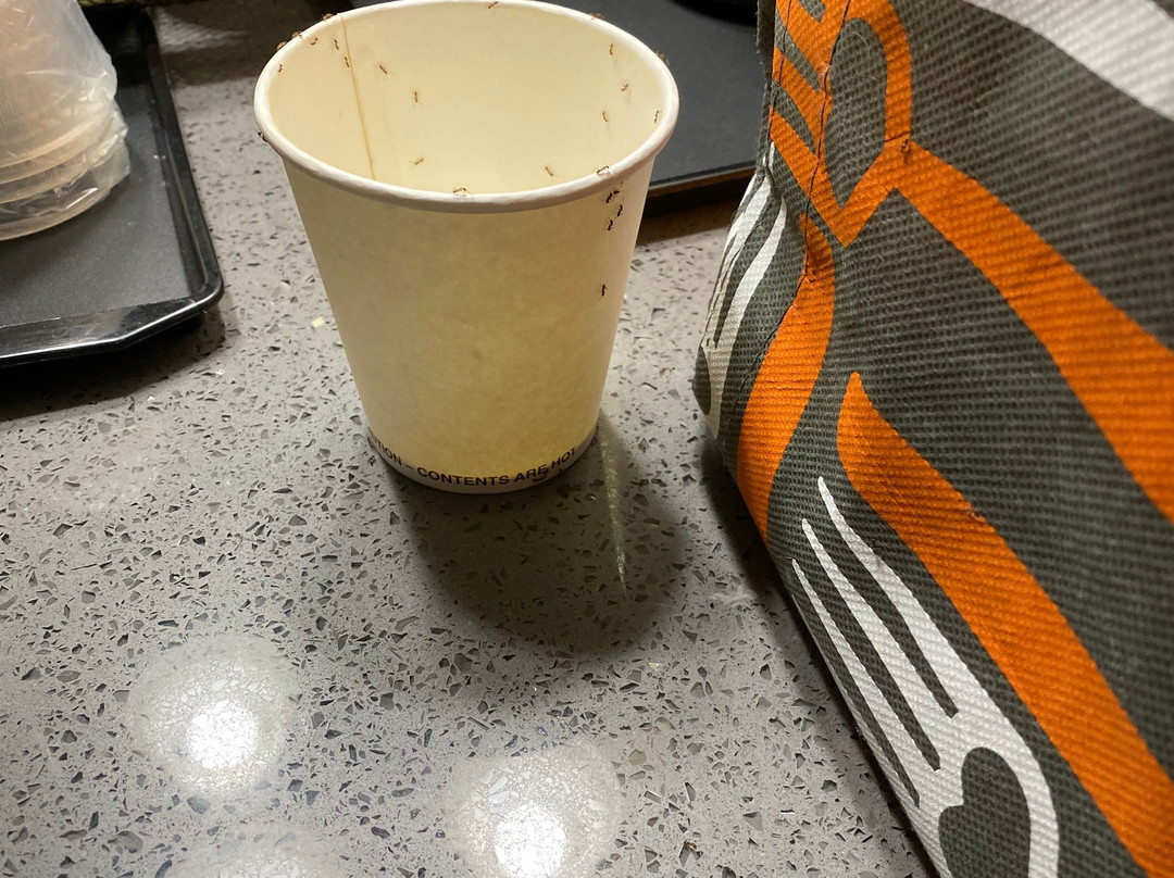 Country Inn & Suites by Radisson, Dalton, GA主图