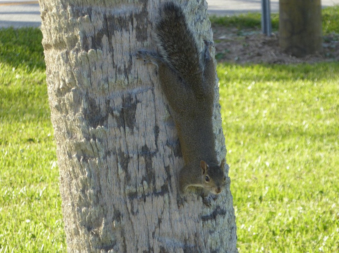 Riviera Park-奥蒙德海滩必去景点