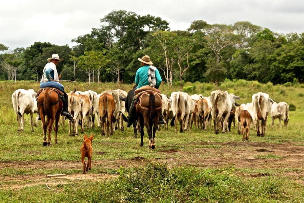 Impulse Travel-La Macarena必去景点