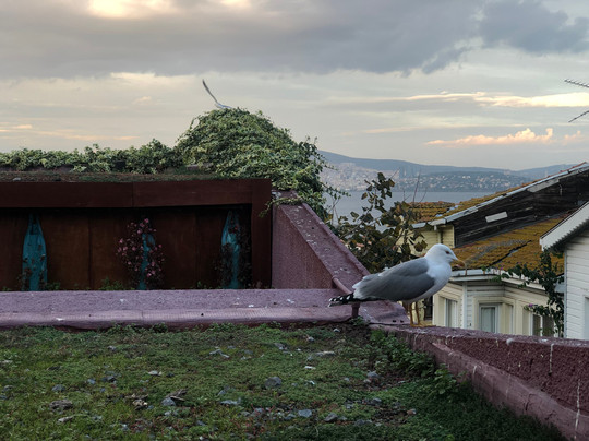 里索拉旅馆主图